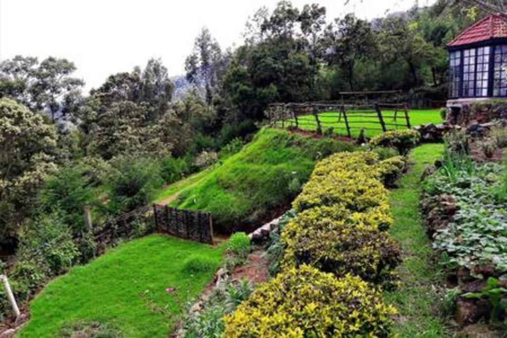 Stumpfields Bed and Breakfast Ooty Buitenkant foto